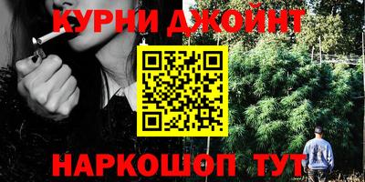 PSILOCYBIN Будённовск