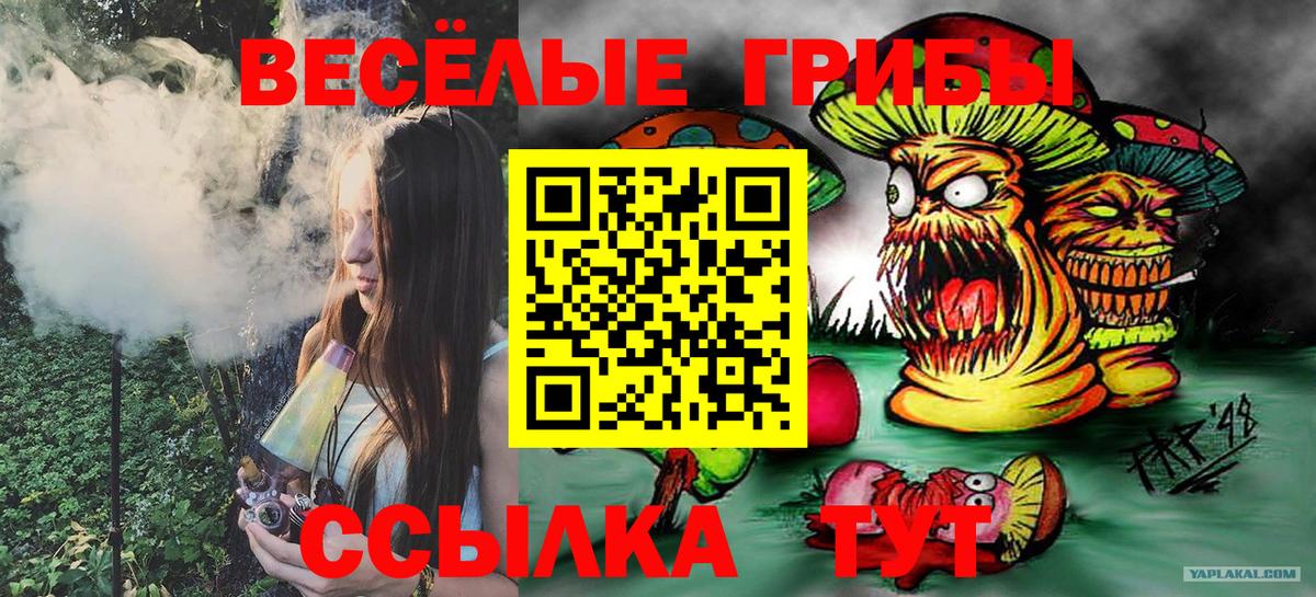 Галлюциногенные грибы Magic Shrooms Пугачёв