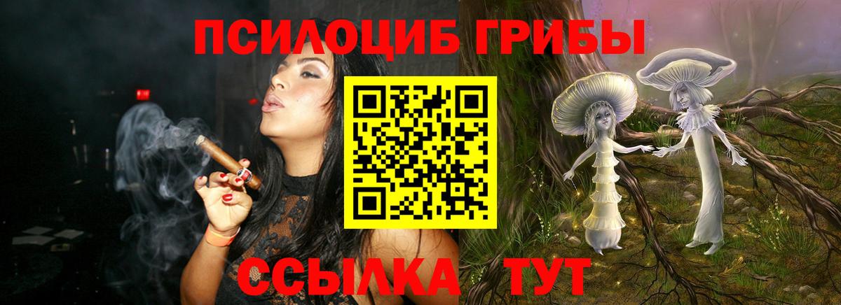 хочу   Галлюциногенные грибы Psilocybine cubensis  Вход с VPN  Галлюциногенные грибы MAGIC MUSHROOMS  Пугачёв 